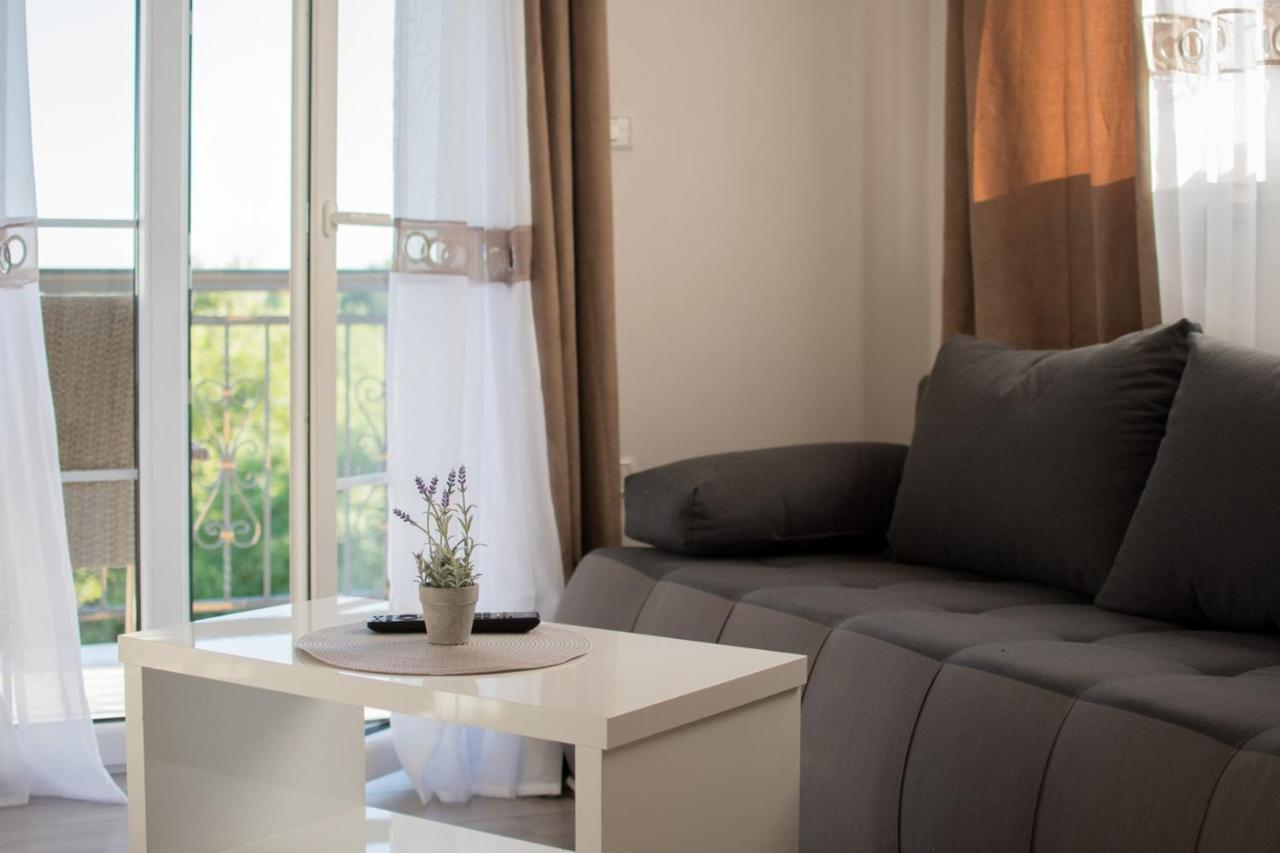 Lavanda House With Apartments Buje Exterior photo