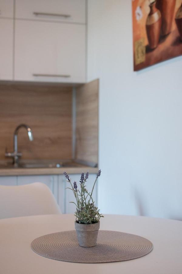 Lavanda House With Apartments Buje Exterior photo